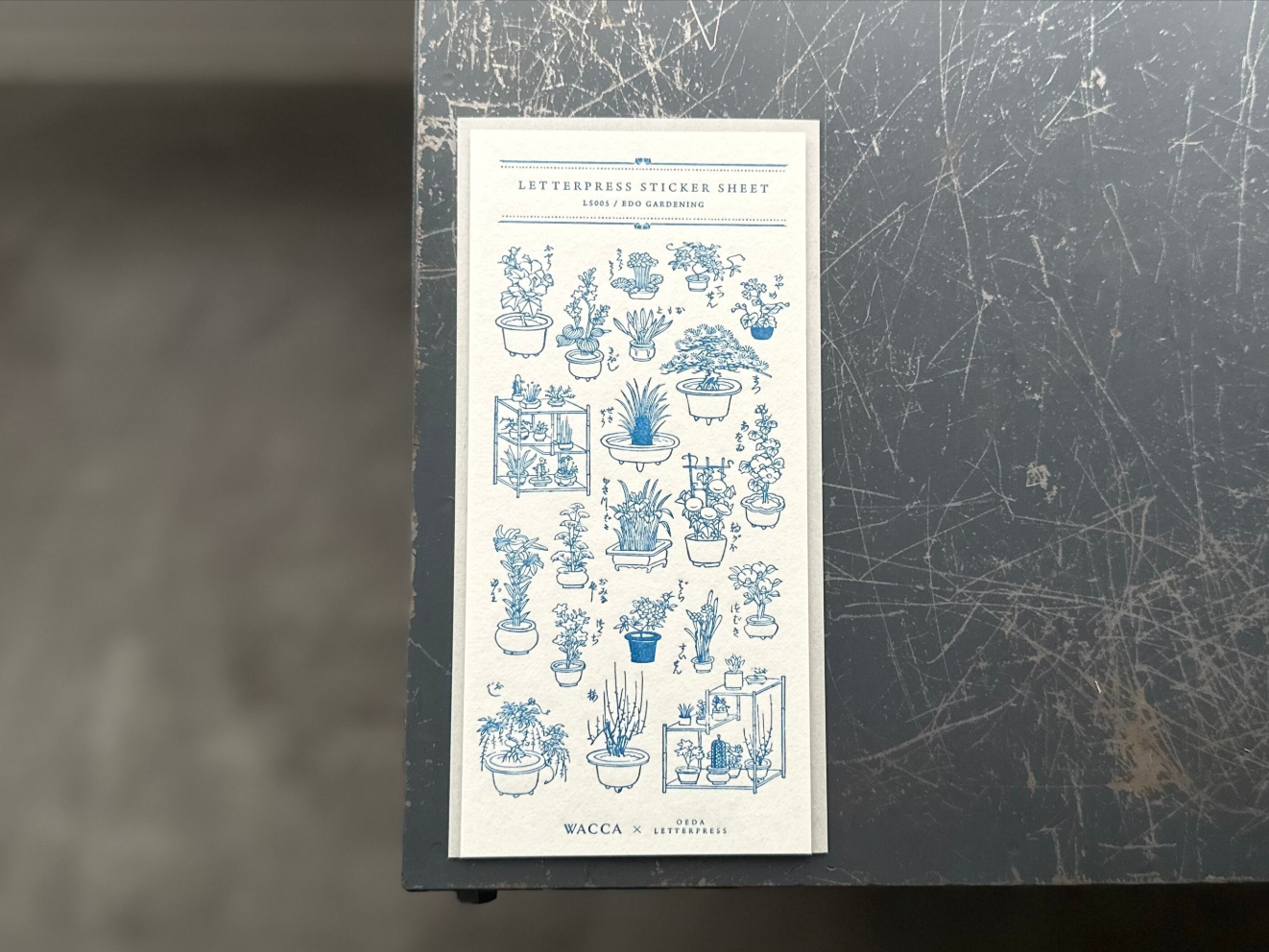 ”NEW"【限定色】"WACCA JAPAN コラボ" LETTERPRESS sticker sheet【EDO GARDENING/紺碧色】